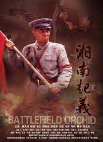 国产免费av在线